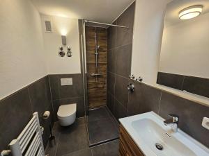 a bathroom with a toilet and a sink and a shower at Apartment Rubihornblick - mit Hallenbad und Sauna in Bolsterlang