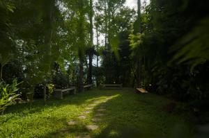 a park with benches and grass and trees at VOX Vanam Bungalow in Kodaikānāl