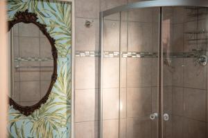 a bathroom with a shower with a mirror at Chilli cottage - off grid get away in Mkondeni