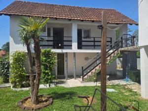 a house with a palm tree in the yard at Vila Darkoni2 in Bijeljina