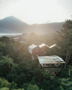 a house in the middle of a forest at Nirata Treehouse in Kintamani