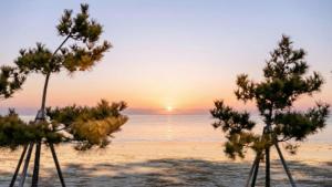 a group of trees on a beach with the sunset at Samcheok Lamer Pension in Samcheok +1 photo