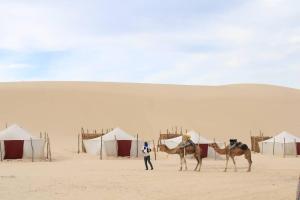 a man walking two camels in the desert at Etoile du Désert de Lompoul in Kébémèr