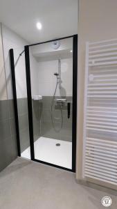 a glass shower in a bathroom with a sink at Chez le Paul Jacques in Seigny