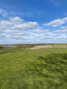 a large field with green grass and a blue sky at Oasen in Nørresundby