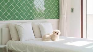 a white dog sitting on top of a bed at Namhae Briant Oceanview Spa Pension in Namhae