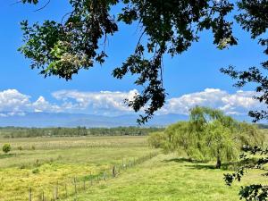 a field with a fence and trees in the foreground at Bee’s Knees Cottage in Winterton
