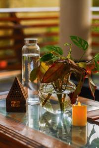 a glass vase with a plant and a candle on a table at Lakshmi Ayurveda Retreat in Kovalam +26 photos