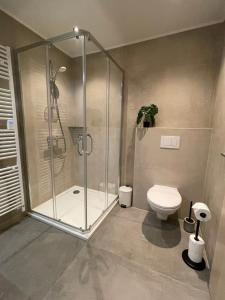 a bathroom with a shower and a toilet at Le Grand Pont in Vielsalm +35 photos