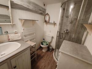 a bathroom with a shower and a sink and a toilet at La Ruche - Maison 7p avec Jardin in Saint-Lucien +8 photos