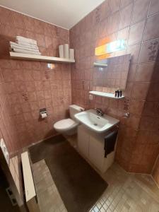 a bathroom with a white sink and a toilet at Appolo in Vouvry +1 photo