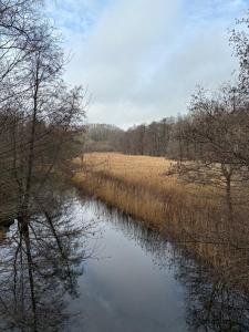 a river in a field with trees in the background at Lundtoftegaard in Kongens Lyngby +1 photo