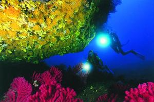 two people swimming in the ocean near a coral reef at Village Naturiste La Chiappa in Porto-Vecchio