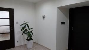 Fotografie z fotogalerie ubytování MiJa apartmán s VINNÝM SKLÍPKEM, zahradou a grilem v Kájově