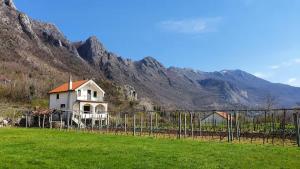 a house in a field with mountains in the background at Vacation home in Virpazar
