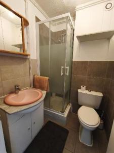 a bathroom with a sink and a toilet and a shower at Studio au calme in Péronnas
