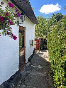 a small white building with a door and purple flowers at Selfcatering Apartment in Currahy Bridge +17 photos