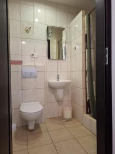 a bathroom with a toilet and a sink at Pensjonat nad Stawem in Sarbinowo