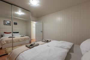 a bedroom with two beds and a mirror at Free EV Charging with Snacks and View in Blesom
