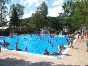a group of people in a swimming pool at Rustical deluxe - Hexenhäuschen in Echternacherbrück