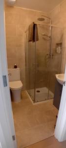 a bathroom with a glass shower and a toilet at The Snug in Naas