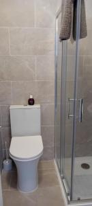 a bathroom with a toilet and a glass shower at The Snug in Naas +1 photo
