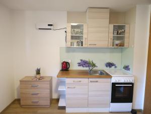 a small kitchen with white cabinets and a sink at Apartmaji Verica Ceklin in Bohinj