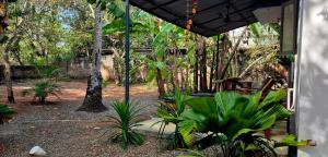 a patio with a bunch of plants in a yard at Villa Blue Sophy in Varkala