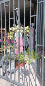 a display of flowers in a window of a store at LUNA House in Phú Vang