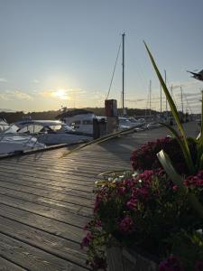 a dock with boats in a marina with flowers at GrebbestadFjorden vandrarhem in Grebbestad