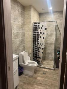 a bathroom with a toilet and a shower at Kechi House Jaklin in Tsaghkadzor