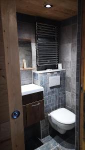 a bathroom with a toilet and a sink at CHALET COSY A LA MONTAGNE AVEC SAUNA TONNEAU situé à St Laurent en Grandvaux - Proche lacs cascades et pistes de ski in Saint-Laurent-en-Grandvaux +22 photos