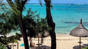 a beach with two umbrellas and chairs and the ocean at BlueMoon Villa - Authentic, seaside living in Trou d'Eau Douce
