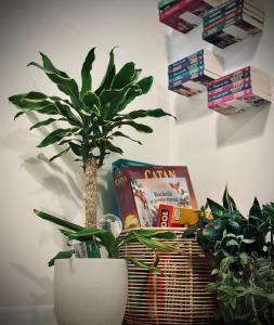 a plant in a basket on a table with books at VerdeViu Apartments 1 Prima Residence Universitatii in Oradea
