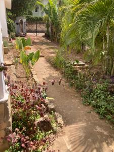 a garden path with plants and a house in the background at Petcat Cottage in Diani Beach +9 photos