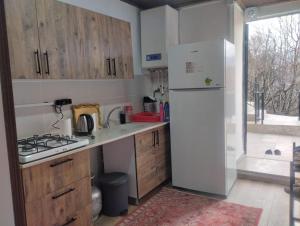a kitchen with a white refrigerator and a sink at Minihome Konak in Safranbolu