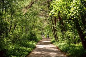 a path through a forest with a person riding a bike at Kapitańska 16C31 in Grzybowo