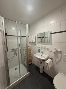 a bathroom with a shower and a sink and a toilet at Hotel Zum Klosterfischer in Blankenburg +27 photos