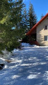 a bench in the snow in front of a building at Cabana Iubirii in Ranca