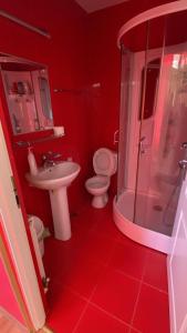 a red bathroom with a toilet and a sink at Cabana Iubirii in Ranca +10 photos