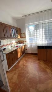 a kitchen with wooden cabinets and a large window at Cabana Iubirii in Ranca