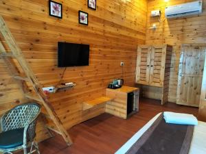 a living room with wooden walls and a television at Bay View Resort in Anjuna