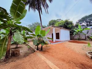a house with a palm tree in front of it at Shan Villa Dambulla in Dambulla