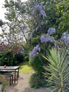 a garden with a bench and purple flowers on a tree at Sea Song Cottage in Broadstairs