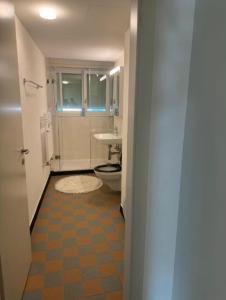 a bathroom with a toilet and a sink at Shared Apartment in central Luzern in Lucerne