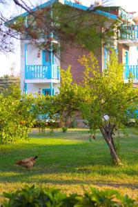 ein Vogel, der im Gras vor einem Haus sitzt in der Unterkunft Yonca Lodge in Fethiye