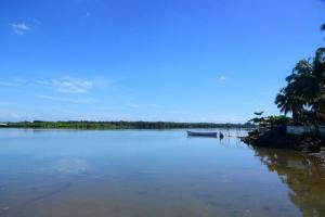 a boat on a river with palm trees on the shore at Suits by lowtide in Udupi