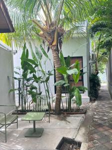 a palm tree in a courtyard with a table and chairs at Seseh Studio in Cemagi