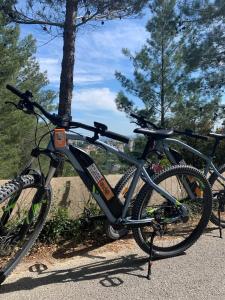 a bike is chained to a pole next to a tree at Victoria House pool garden in Fourques