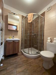 a bathroom with a shower and a toilet and a sink at Pod Břesteckou skalou in Břestek +68 photos